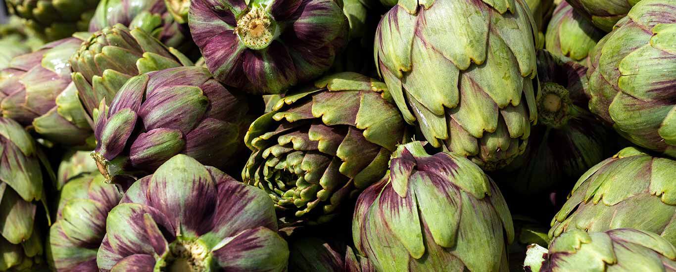 Bittere stoffen: een gezond geschenk van de natuur  